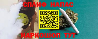 прущие грибы Славгород