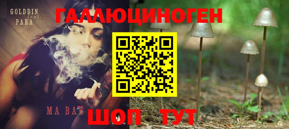 Псилоцибиновые грибы GOLDEN TEACHER  Псилоцибиновые грибы прущие грибы  купить наркотики цена  Новосибирск  Вход с VPN 