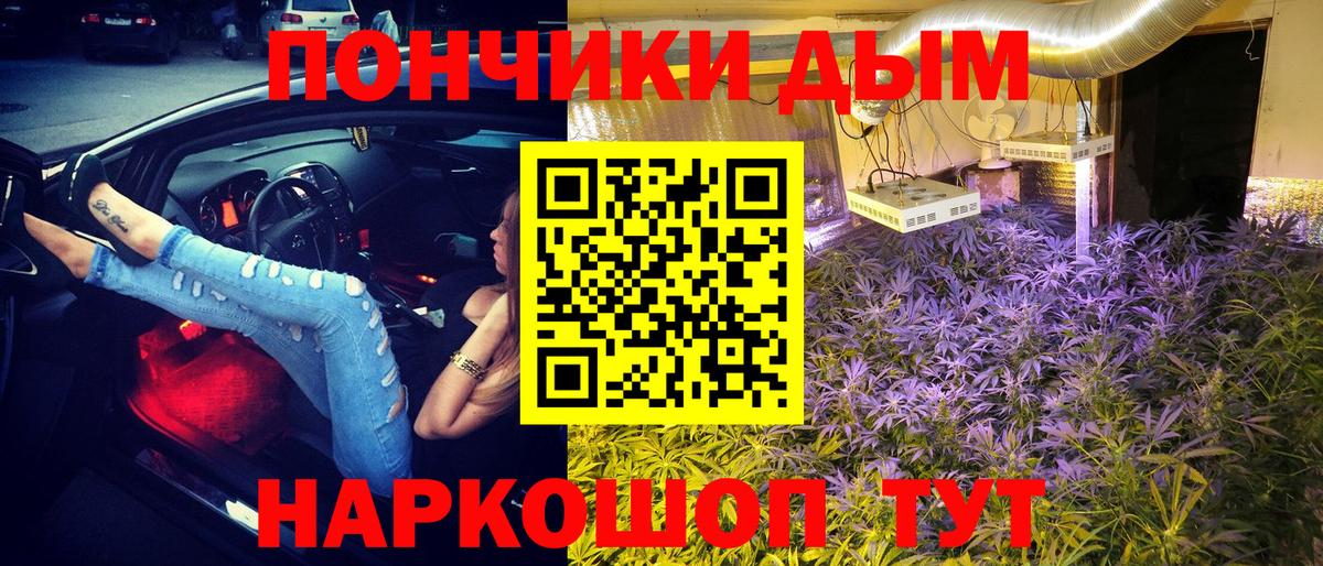 Каннабис SATIVA & INDICA  Вход с VPN  Марихуана SATIVA & INDICA  Канабис сатива  Новосибирск 